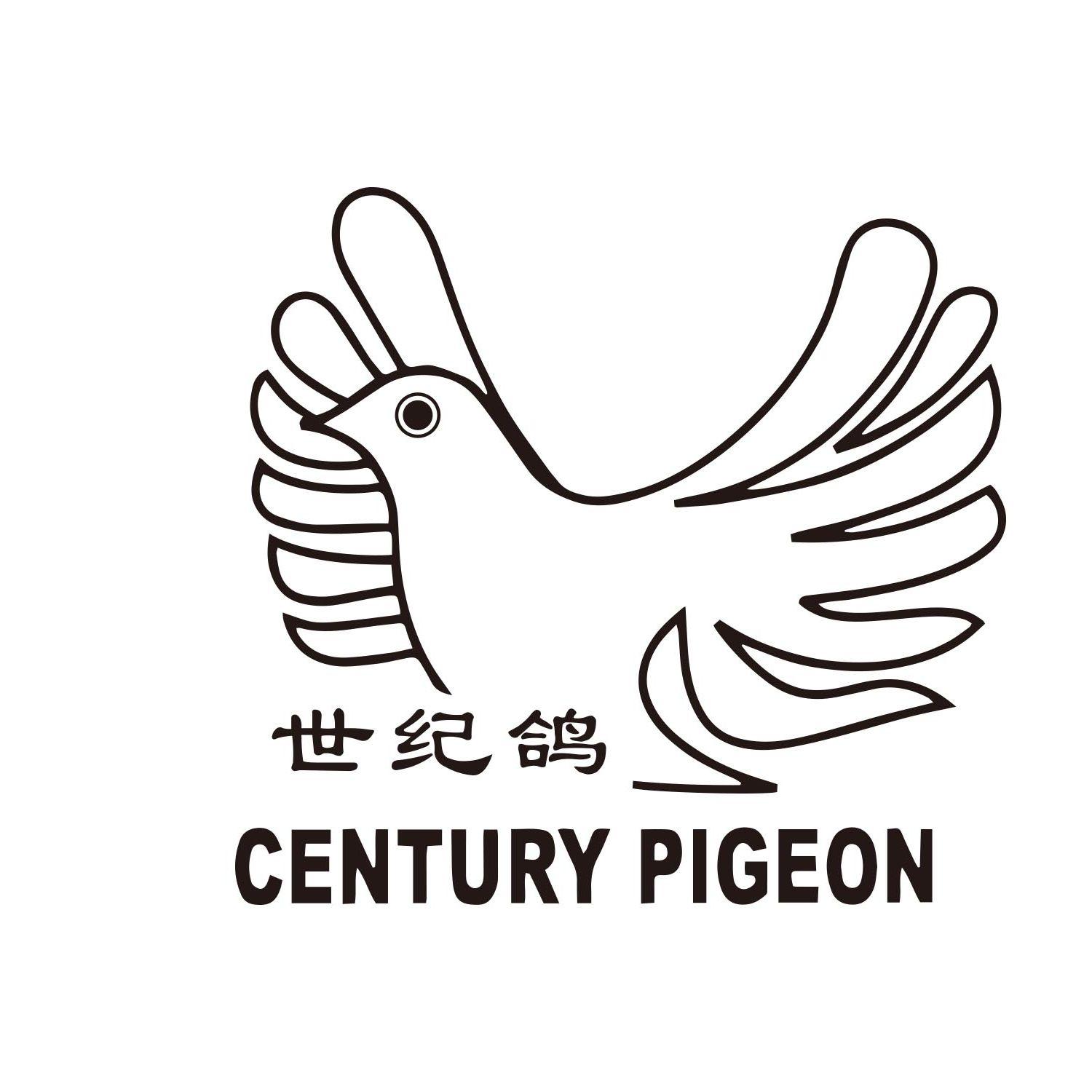 世纪鸽 CENTURY PIGEON