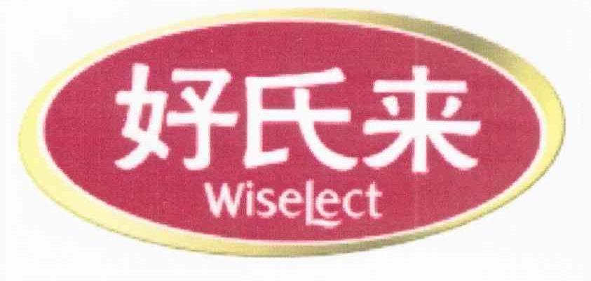 好氏来 WISELECT