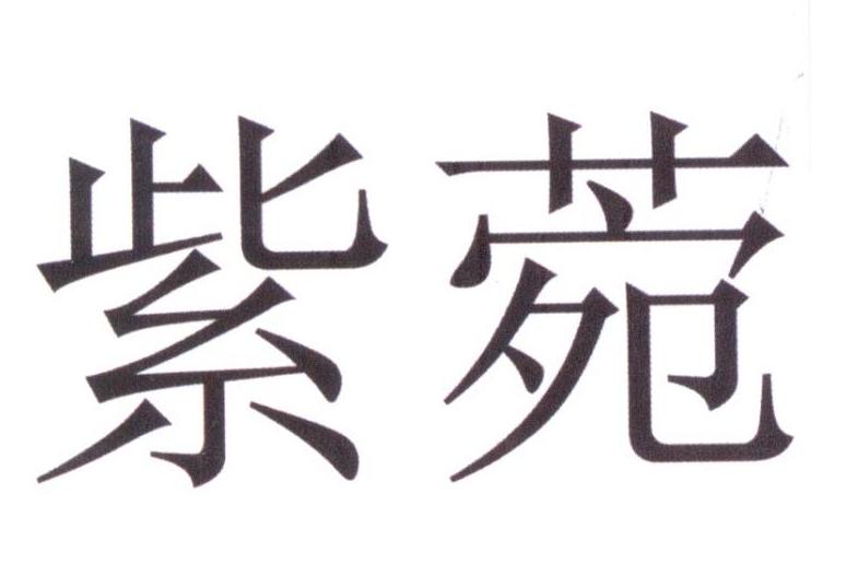 紫菀