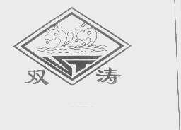 双涛