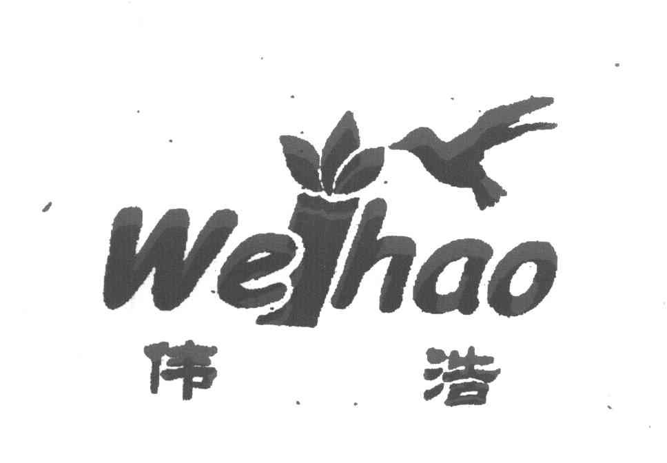 伟浩