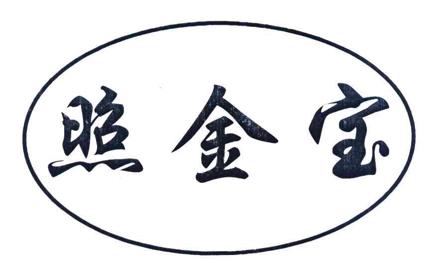 照金宝