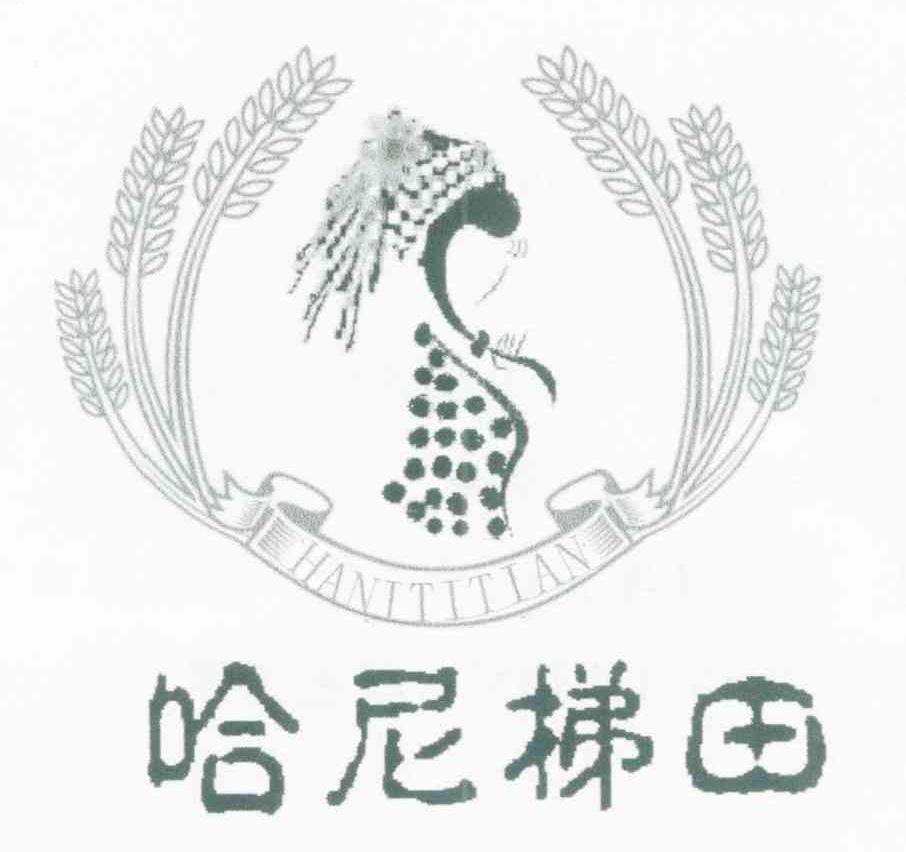 哈尼梯田