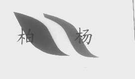 柏杨