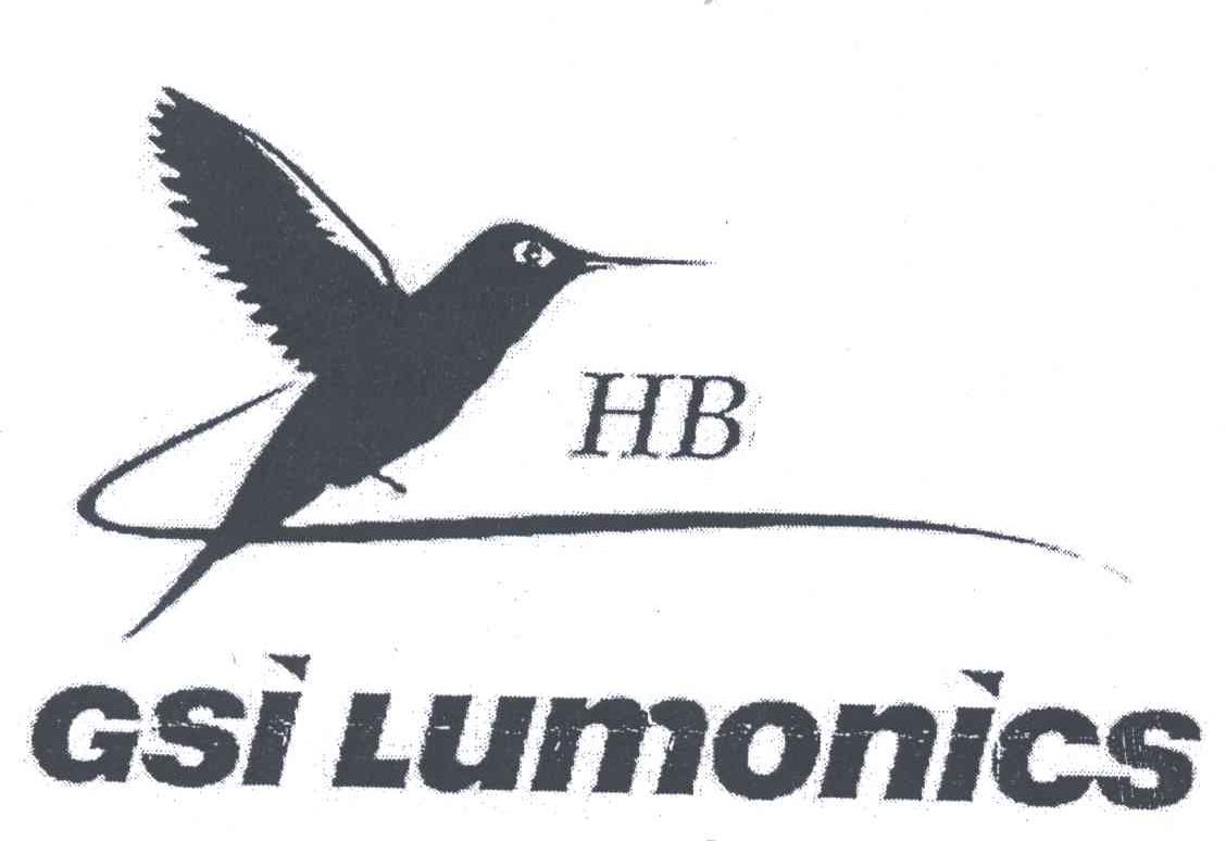 HB GSI LUMONICS