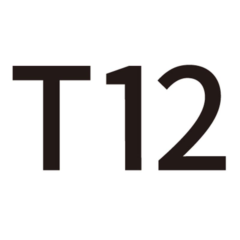 T 12