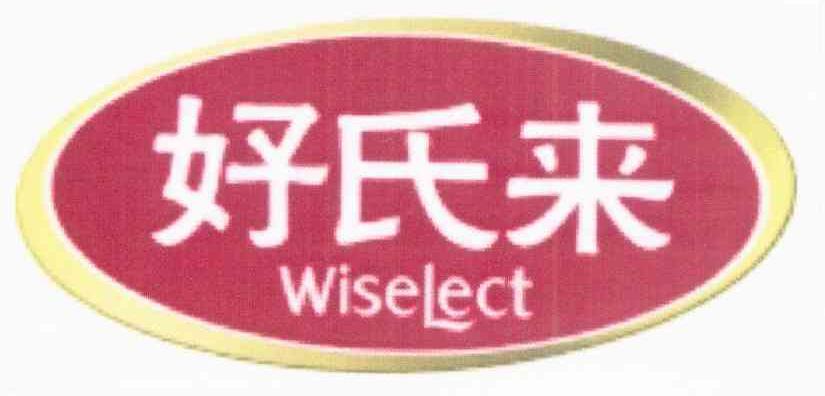 好氏来 WISELECT