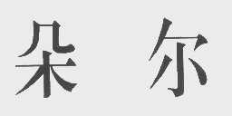 朵尔