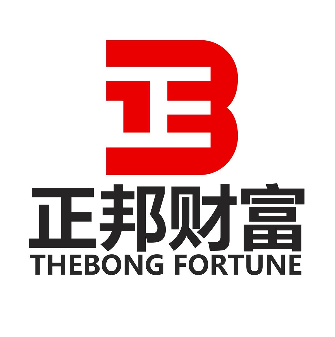 正邦财富  THEBONG FORTUNE 正 B