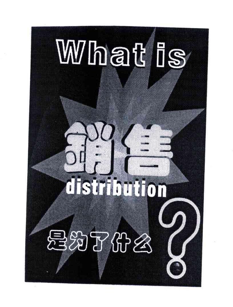 销售是为了什么;WHAT IS DISTRIBUTION