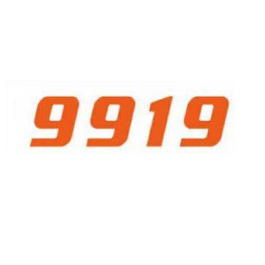 9919