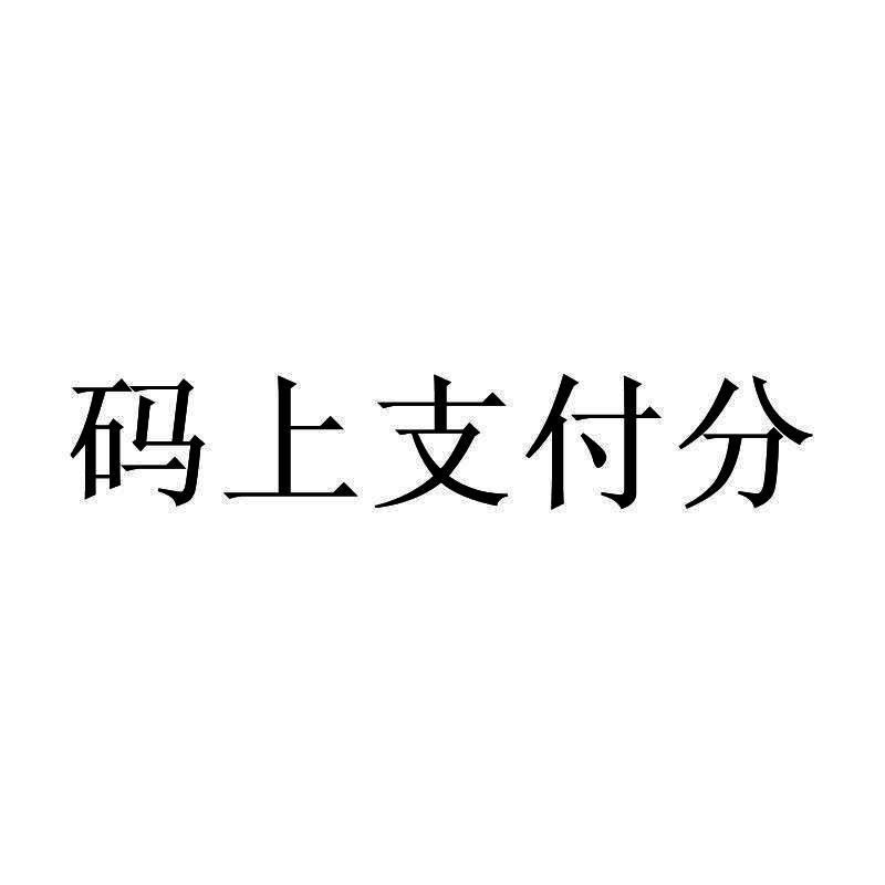 码上支付分
