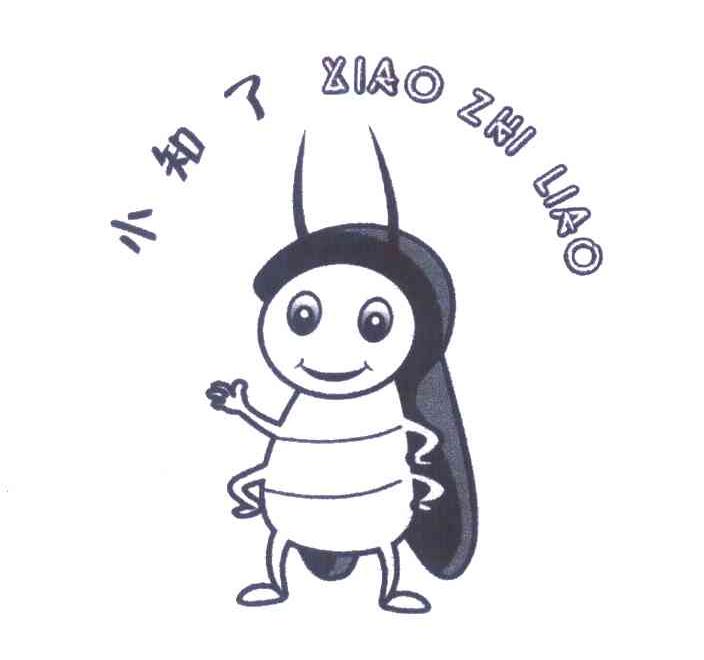小知了