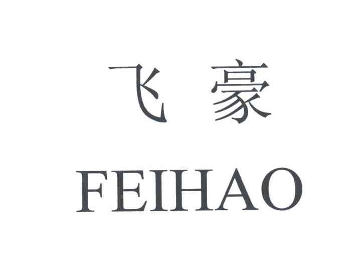 飞豪
