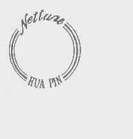 NETTURE HUA PIN