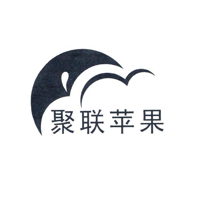 聚联苹果