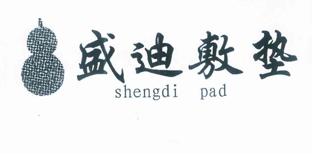盛迪敷垫 SHENGDI PAD