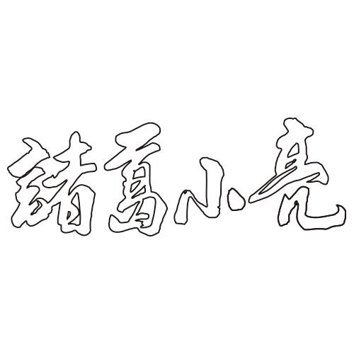 诸葛小亮
