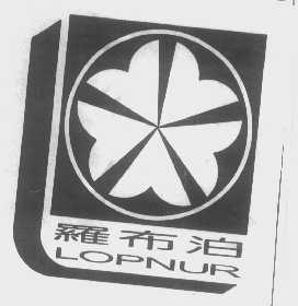 罗布泊   LOPNUR