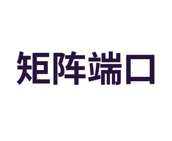 矩阵端口