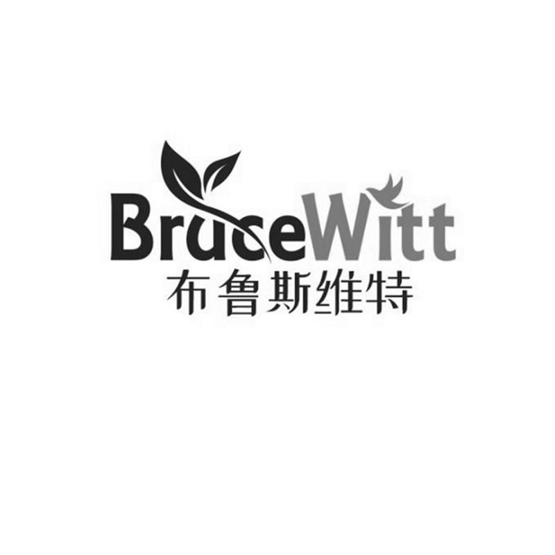 布鲁斯维特 BRUCEWITT