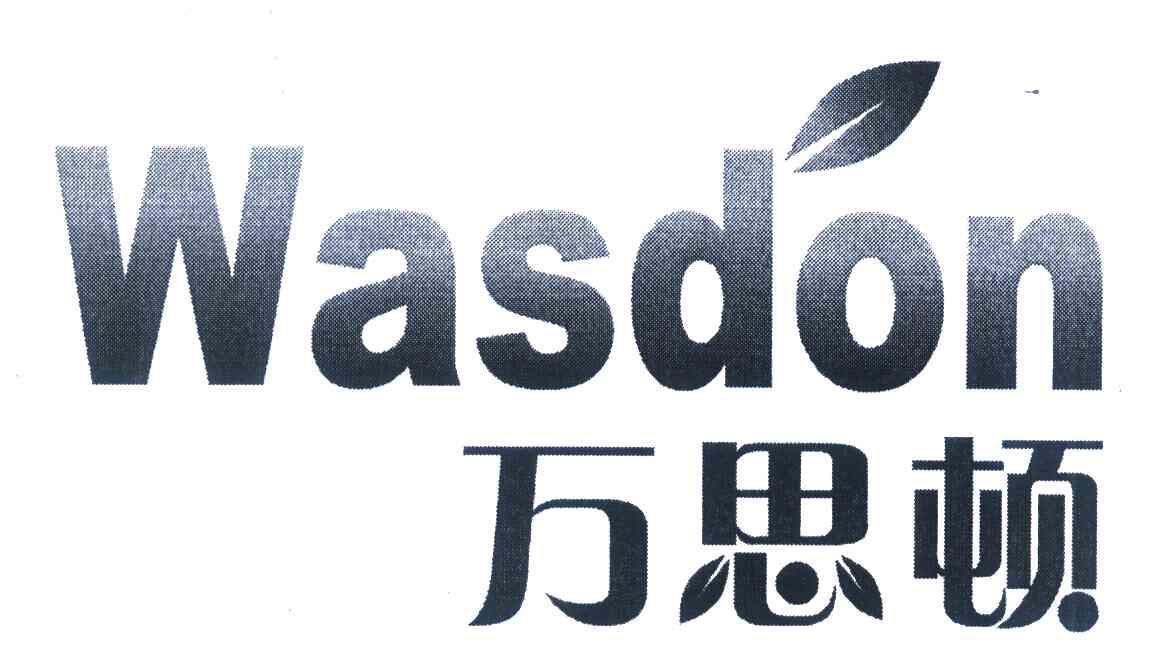 万思顿 WASDON