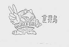 世界鸟   WORLD BIRD