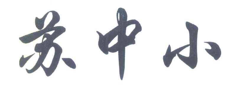 苏中小