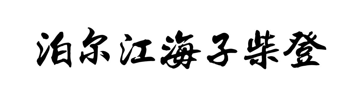 泊尔江海子柴登