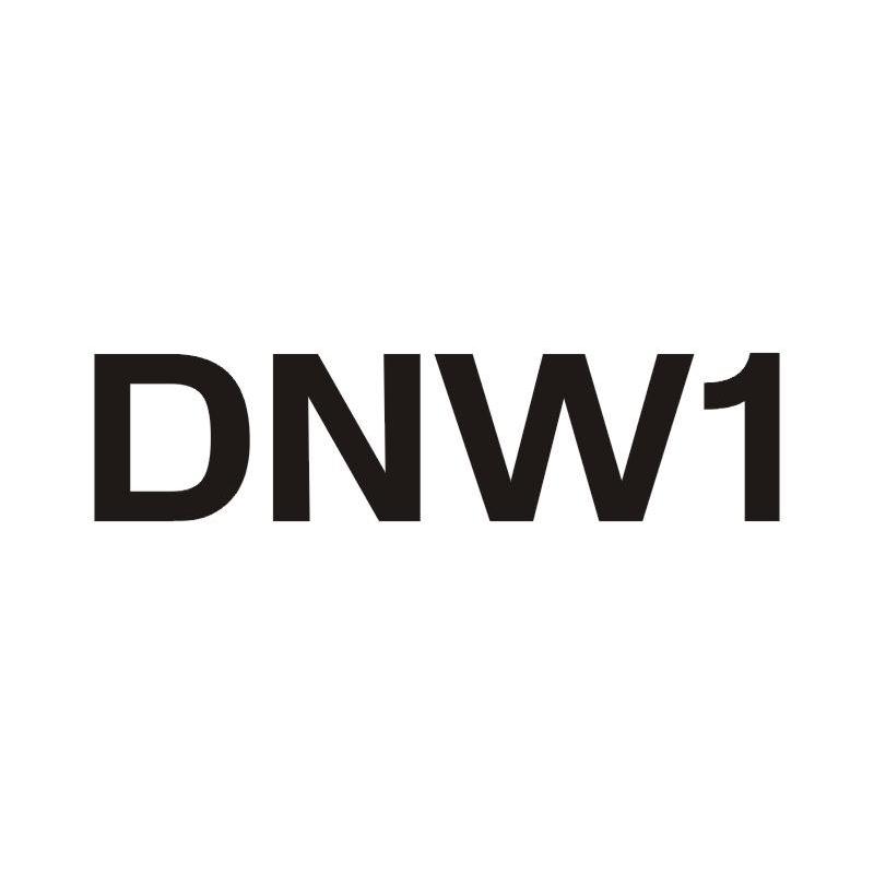 DNW 1