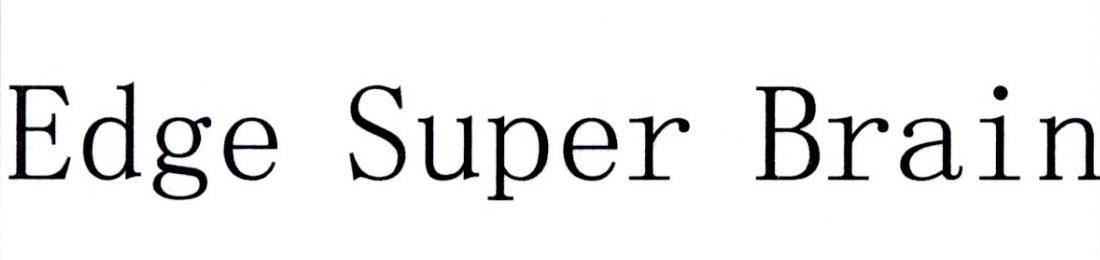 EDGE SUPER BRAIN