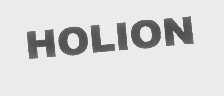 HOLION
