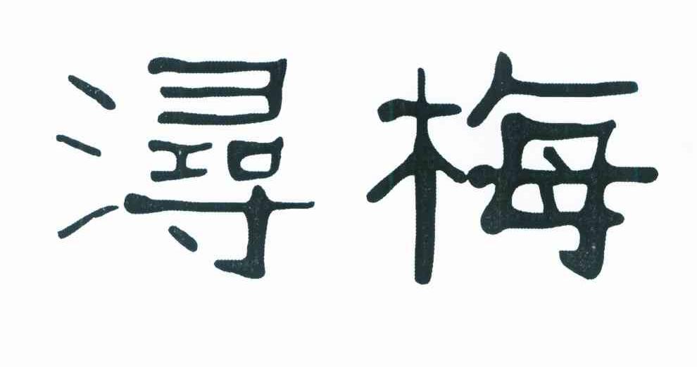 浔梅