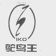 鸵鸟王   IKO
