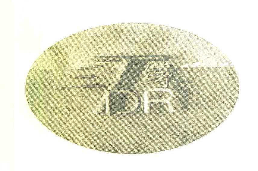 三缘 TDR