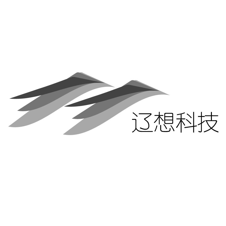 辽想科技