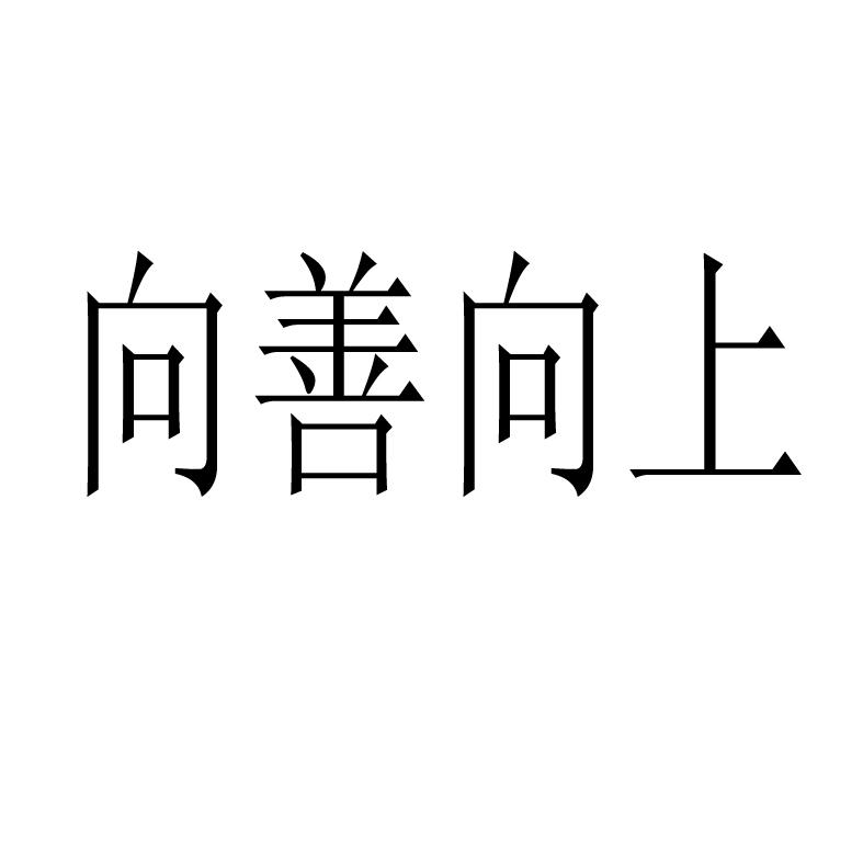 向善向上