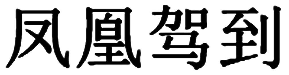 凤凰驾到