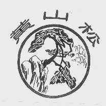 黄山松