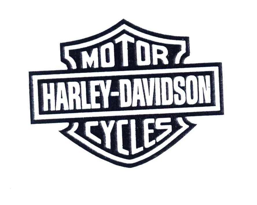 MOTOR HARLEY DAVIDSON CYCLES