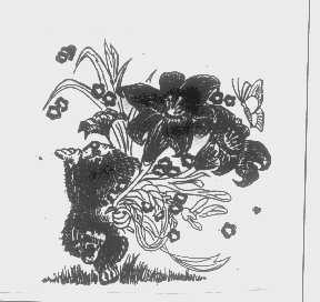 图形