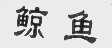 鲸鱼