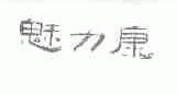 魅力康