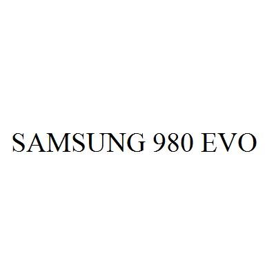 SAMSUNG 980 EVO