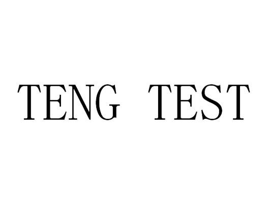 TENG TEST