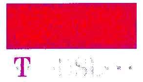 T DSL
