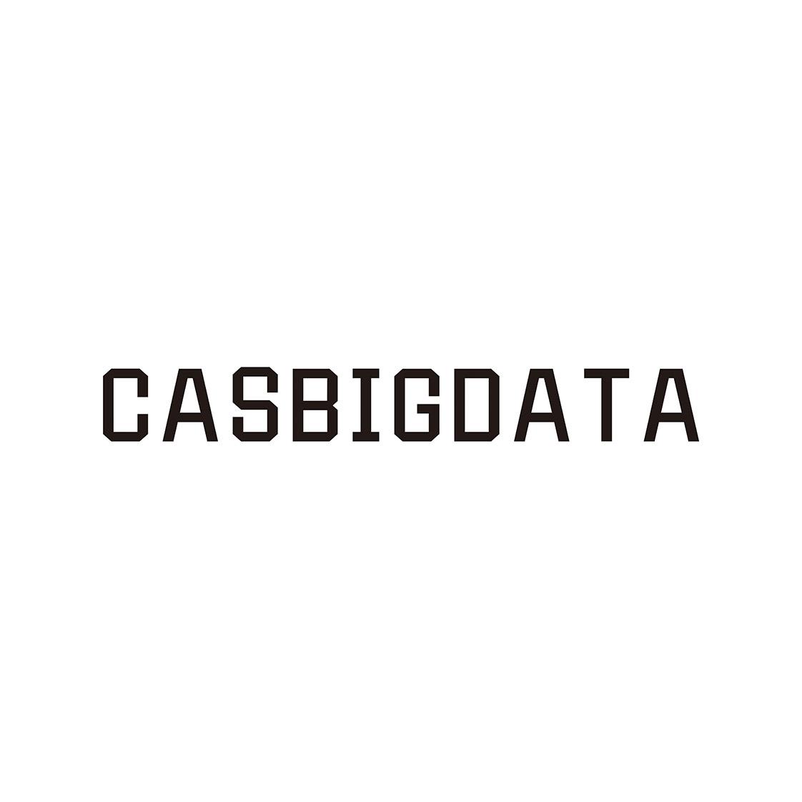 CASBIGDATA