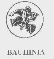 BAUHINIA