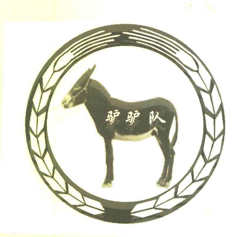 驴驴队
