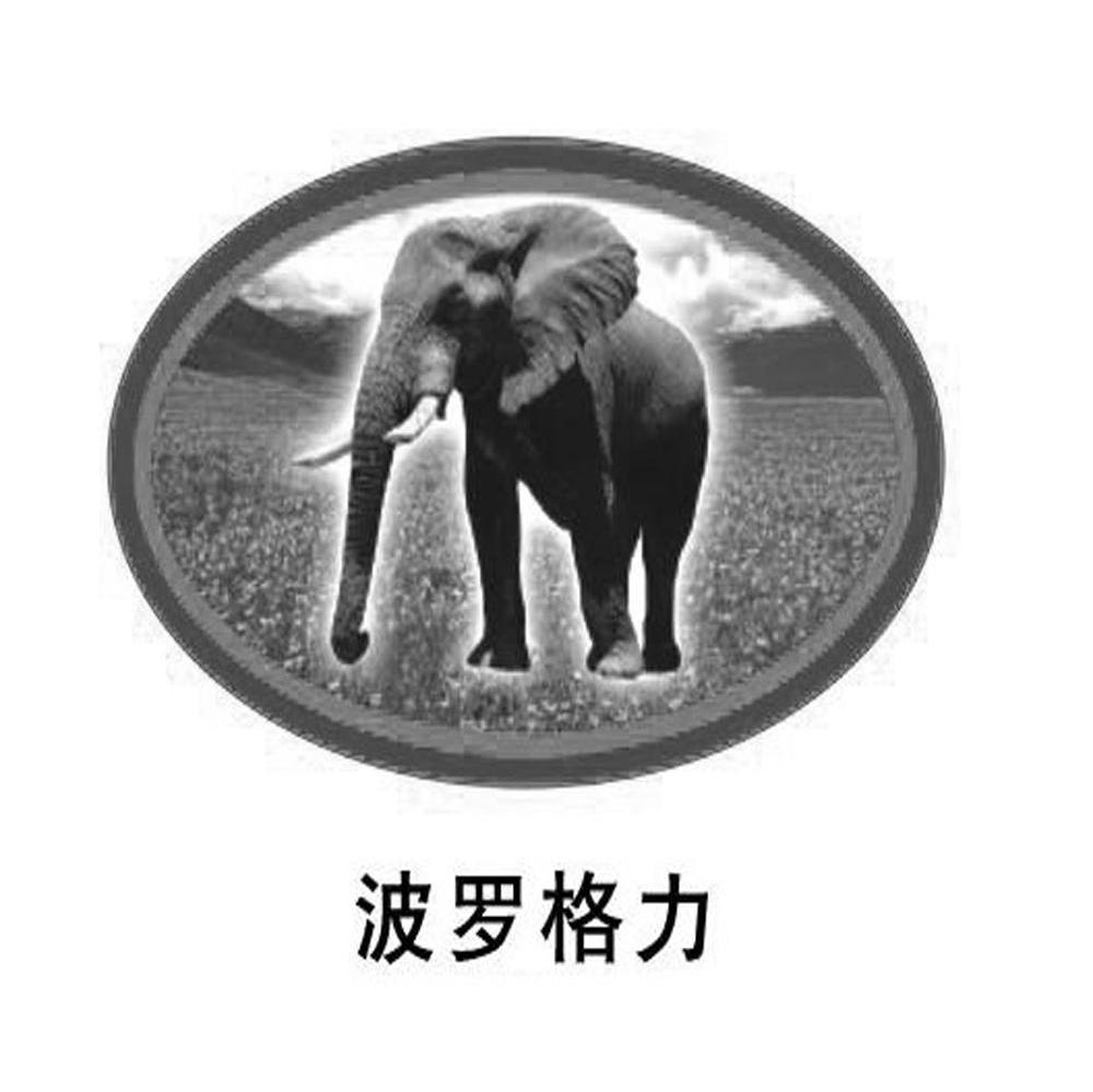 波罗格力